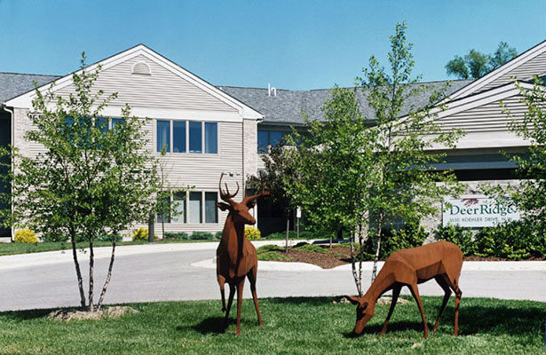 deer ridge landscaping